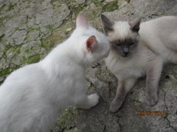 Blancanieves+Sammy Bild von Blancanieves