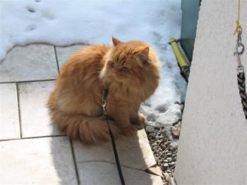 LEon Bild von Leon - 4367