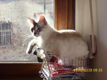 Sammy Bild von Sammy