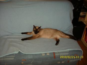 Biber Bild von Biberoni