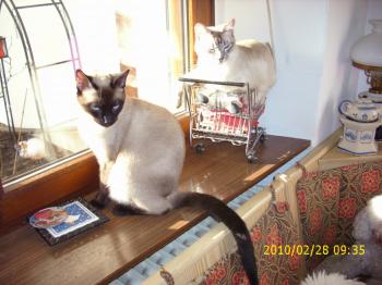 Biber Bild von Biberoni