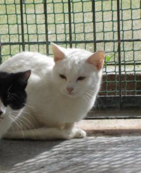 Ohne Bild von Paloma