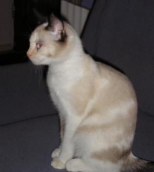 Daisy Bild von Daisy
