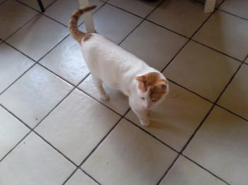 Bild von Oscar