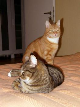 Eddie Bild von Edgar