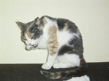 Daniela Bild von Daniela