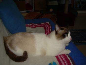 Pepon Bild von Pepon