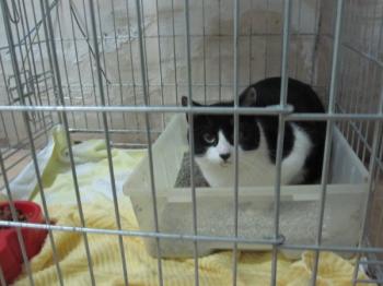 Snoopy Bild von Snoopy