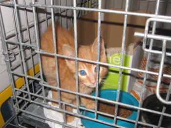 Ohne Bild von Jim Knopf