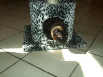 Bild von Mika