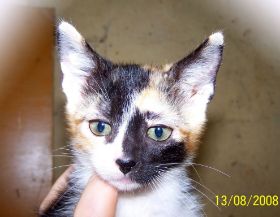 Tonchi Bild von Tonchi