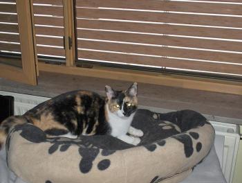 Tonchi Bild von Tonchi