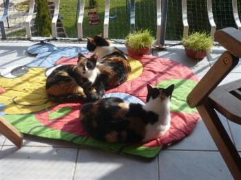 Mina Bild von Mina