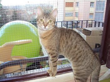 Cusi Bild von Cusi