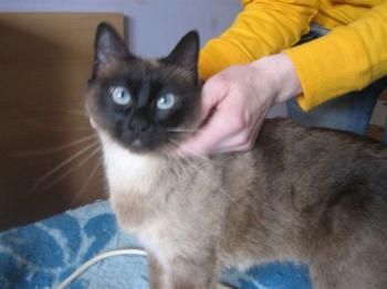 Muriel Bild von Muriel