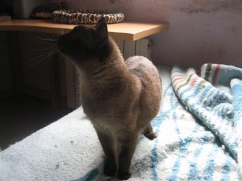Muriel Bild von Muriel