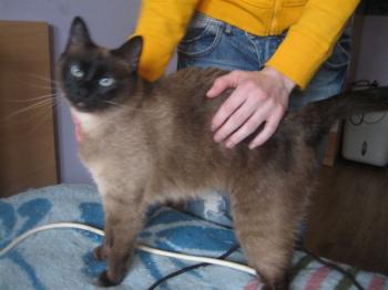 Muriel Bild von Muriel