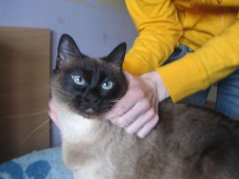 Muriel Bild von Muriel