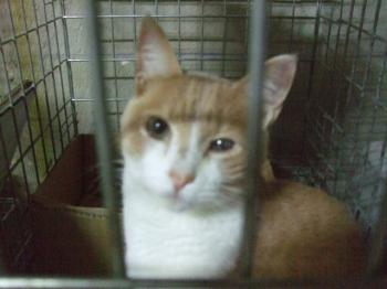 Bild von Fabio