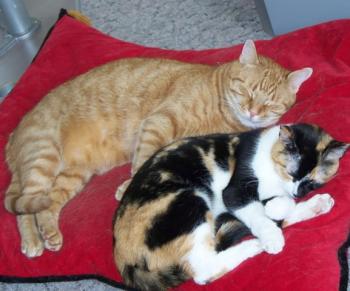 Happy Bild von Tonchi