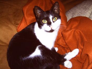 Jina Bild von Jina