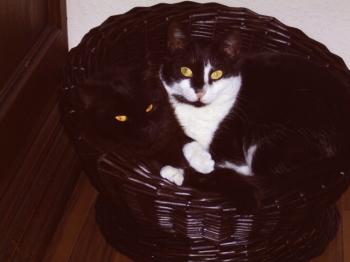 Kina Bild von Jina