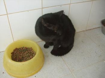 Bild von Cosimo