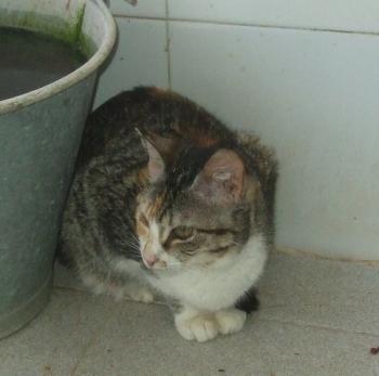 Ohne Bild von Cindy