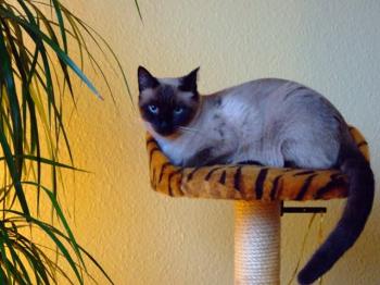 Gabi Bild von Gabi