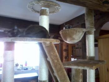 Bild von Senda