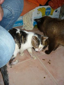 Freddie Bild von Freddie