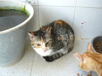 Ohne Bild von Cindy