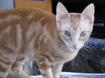 Lily Bild von Tucker