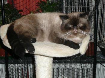Bebo Bild von Bebo