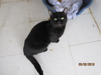 Bild von Cosimo