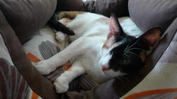 Anie Bild von Anie