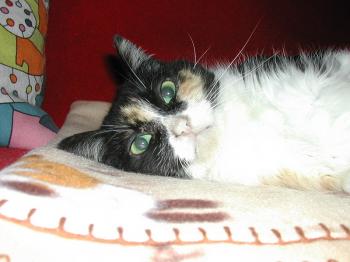 a Bild von Ananda