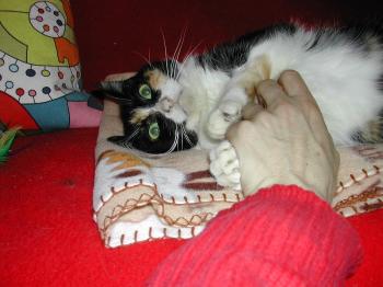 a Bild von Ananda