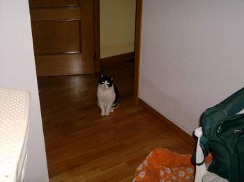 t Bild von Tonio