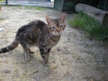 Avelina Bild von Avelina
