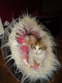 t Bild von Txita