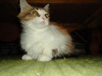 t Bild von Txita