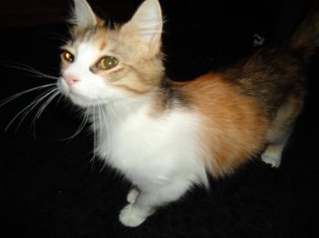t Bild von Txita