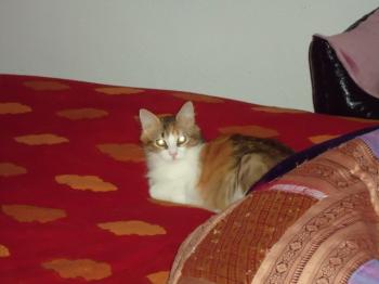 t Bild von Txita