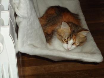 t Bild von Txita
