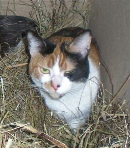 m Bild von Michus