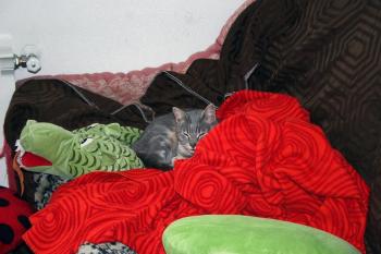 n Bild von Nana