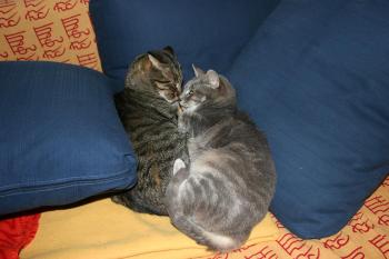 n Bild von Nana
