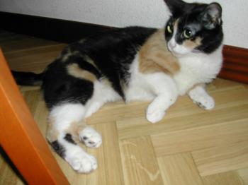 a Bild von Ananda