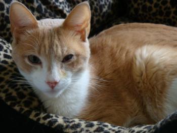 Bild von Fabio